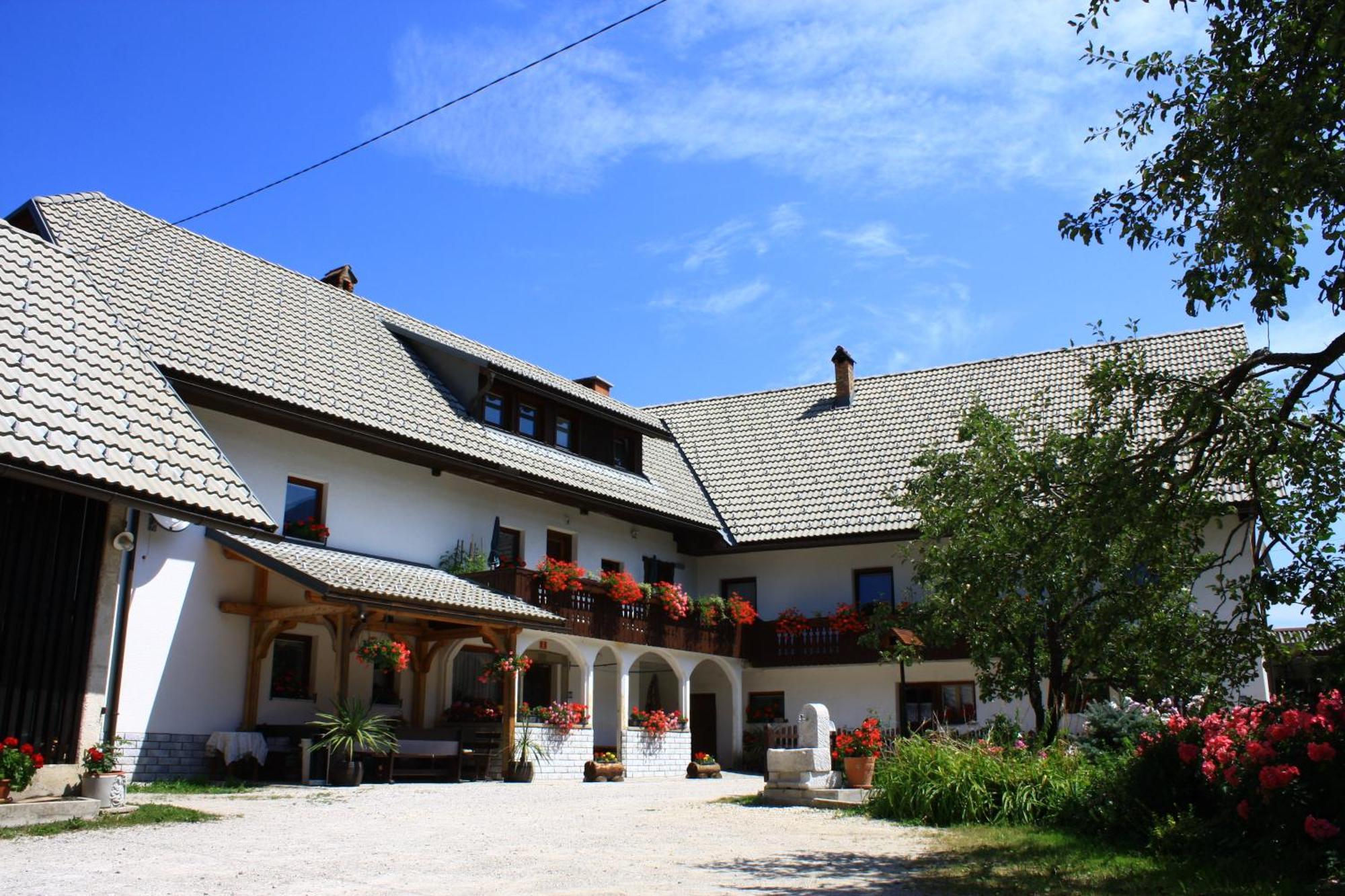 Apartments Susnik Bohinj Extérieur photo