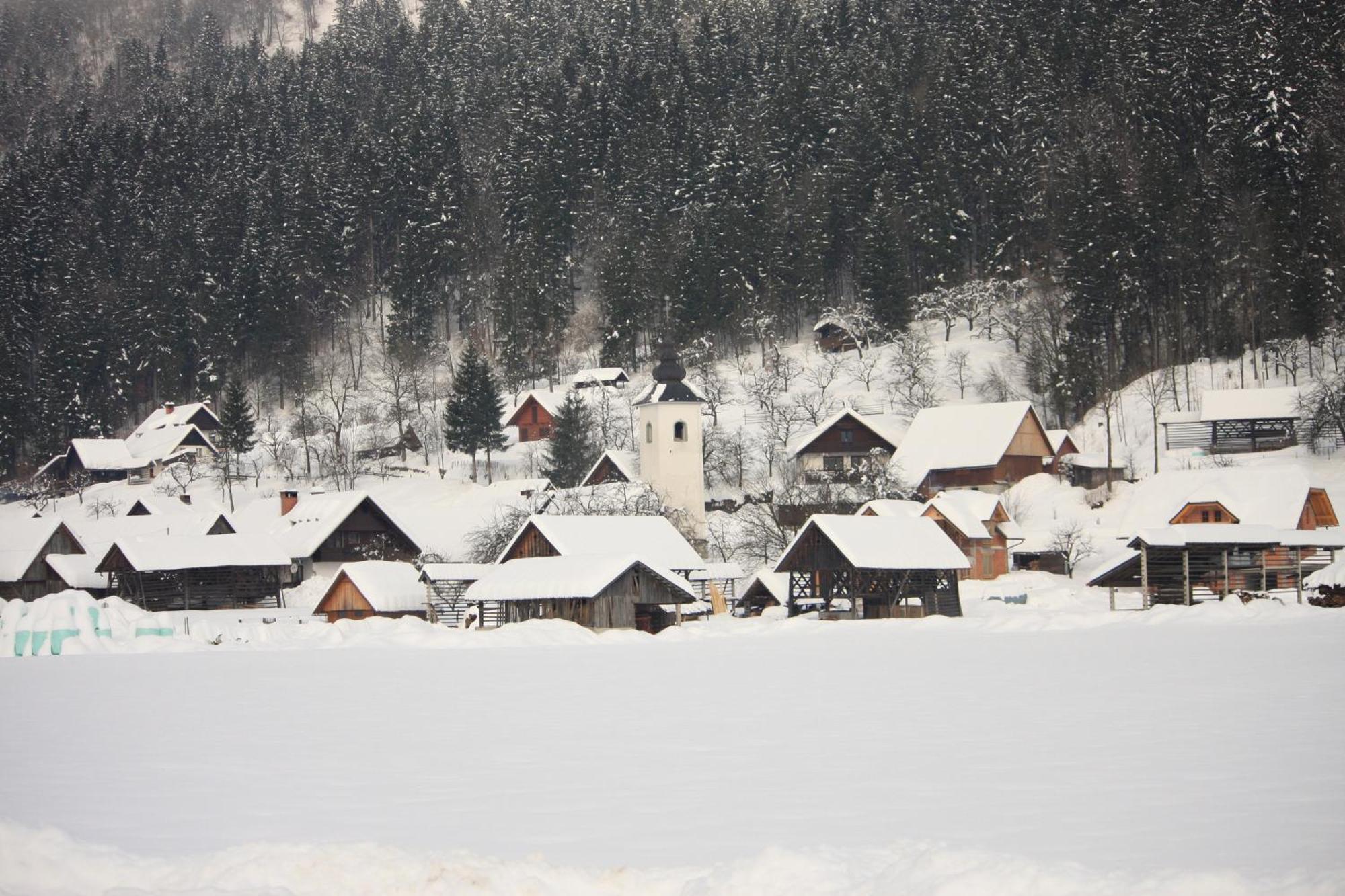 Apartments Susnik Bohinj Extérieur photo