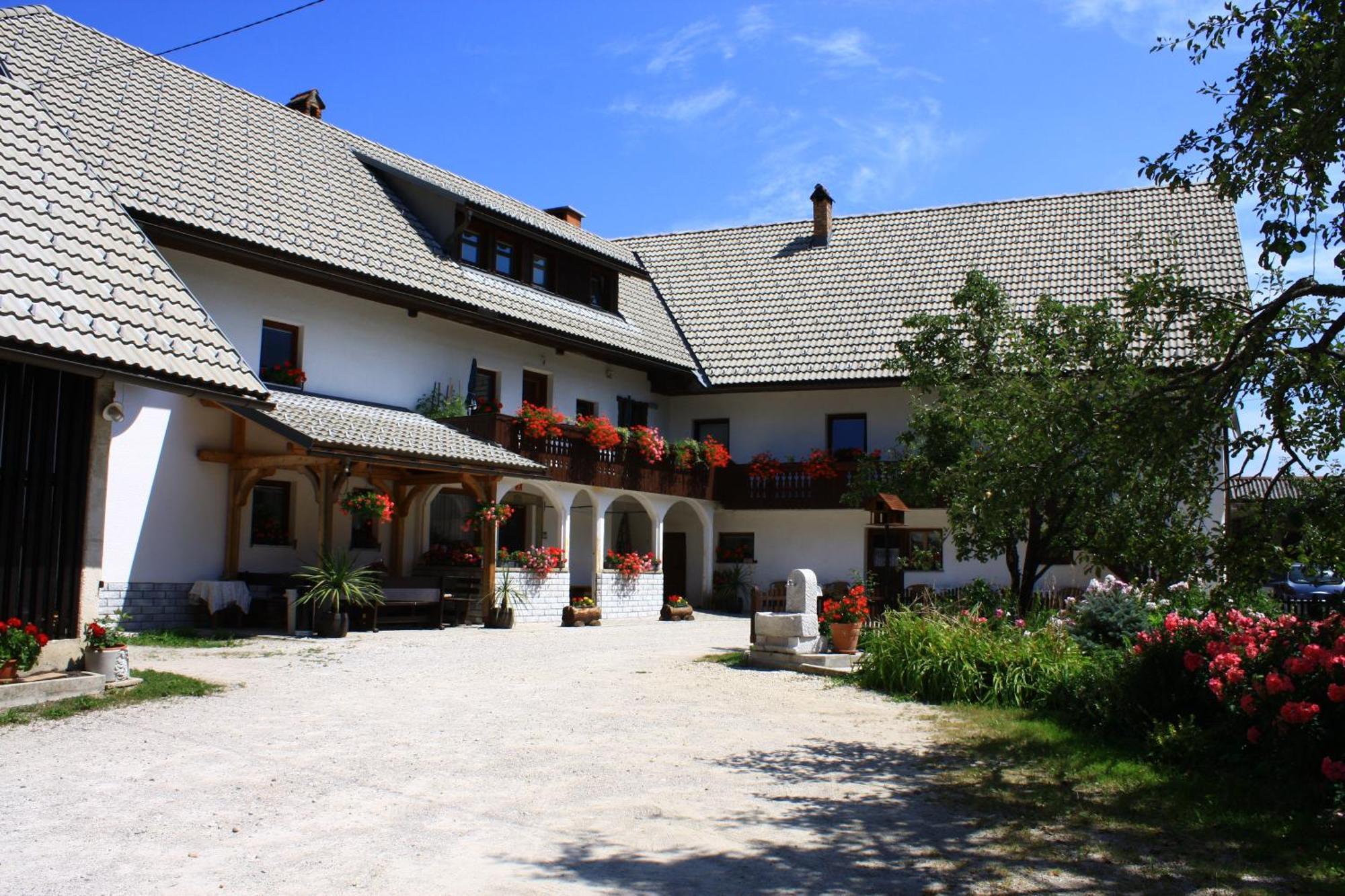 Apartments Susnik Bohinj Extérieur photo